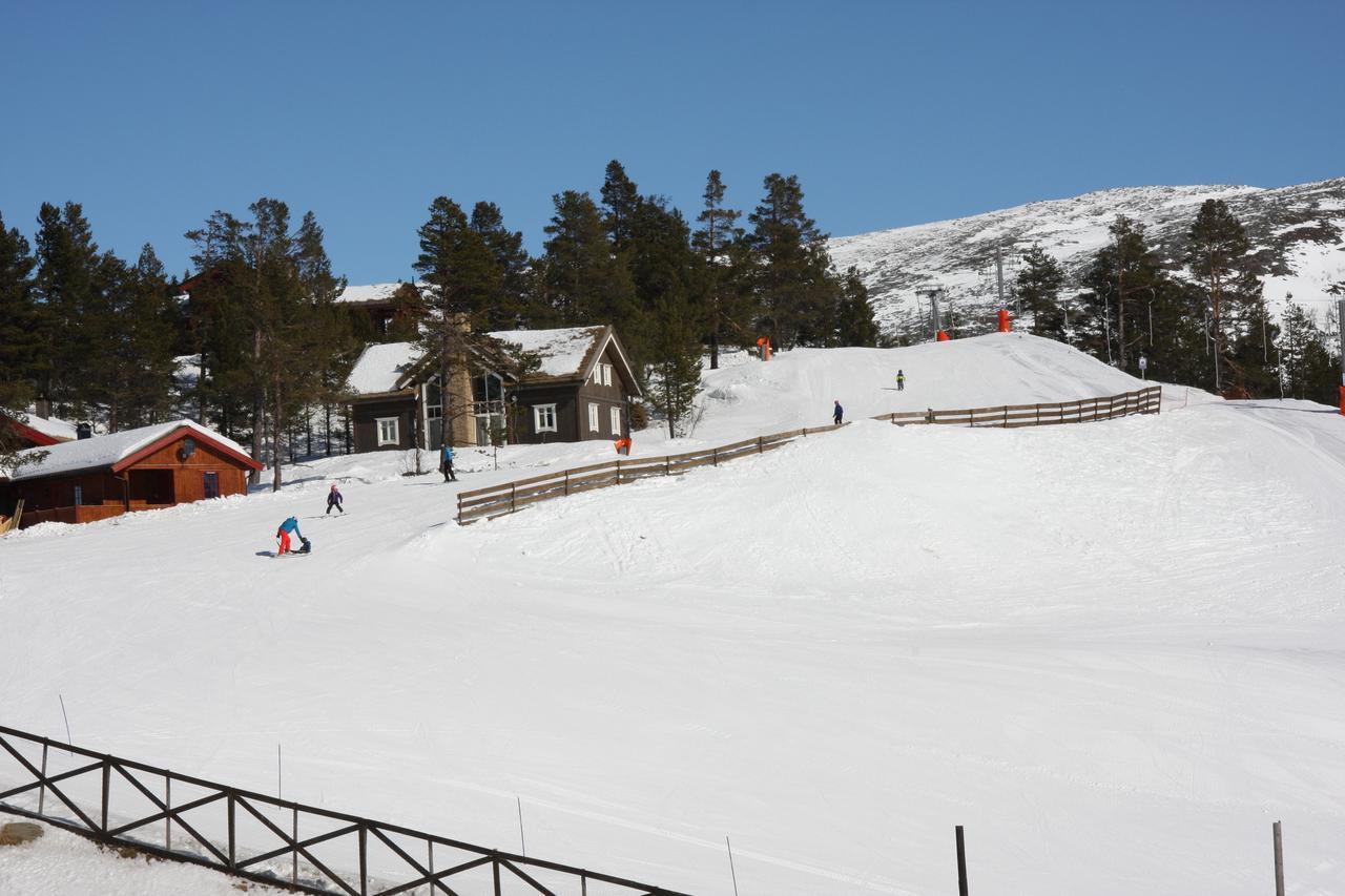 Lemonsjo Fjellstue Og Hyttegrend Randsverk Kültér fotó