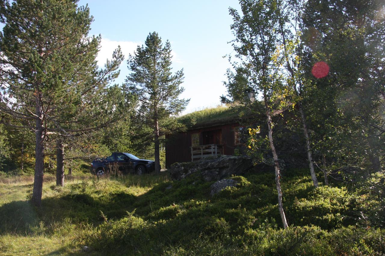 Lemonsjo Fjellstue Og Hyttegrend Randsverk Kültér fotó