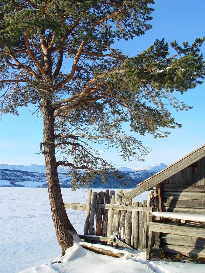 Lemonsjo Fjellstue Og Hyttegrend Randsverk Kültér fotó
